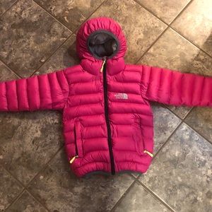 The North Face Gore Dry Loft, 900 Fill Goose Down Parka